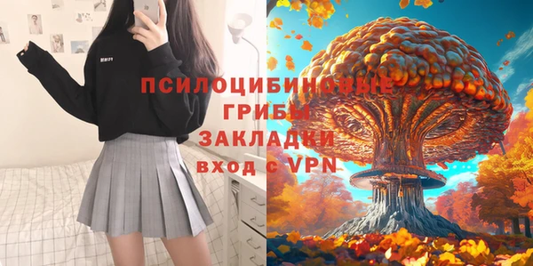 твердый Белокуриха